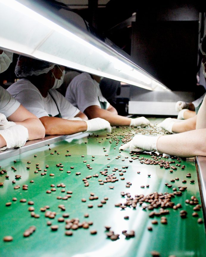 Linha de produção de cacau